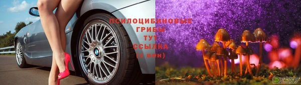 дмт Карталы