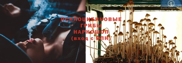дмт Карталы