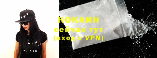 дмт Карпинск
