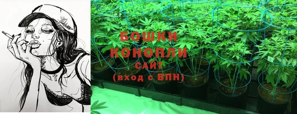 дмт Карпинск