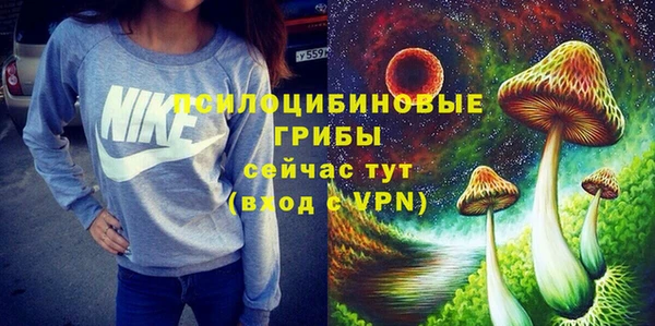 ГАЛЛЮЦИНОГЕННЫЕ ГРИБЫ Киреевск