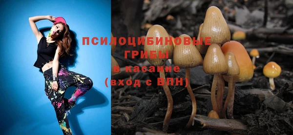 дмт Карпинск