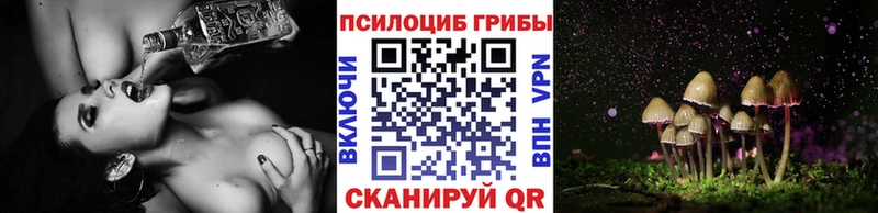 Купить  Пыть-Ях  Псилоцибиновые грибы Psilocybe 